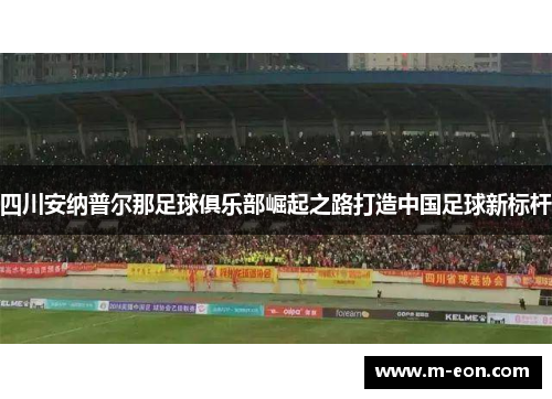 四川安纳普尔那足球俱乐部崛起之路打造中国足球新标杆