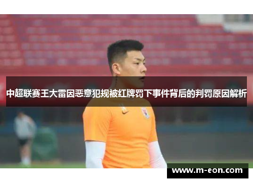 中超联赛王大雷因恶意犯规被红牌罚下事件背后的判罚原因解析