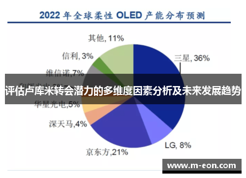 评估卢库米转会潜力的多维度因素分析及未来发展趋势