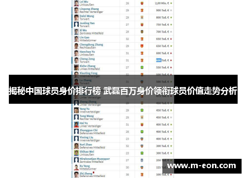 揭秘中国球员身价排行榜 武磊百万身价领衔球员价值走势分析