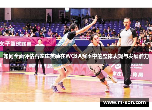 如何全面评估石家庄英励在WCBA赛季中的整体表现与发展潜力