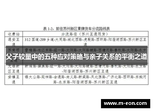 父子较量中的五种应对策略与亲子关系的平衡之道