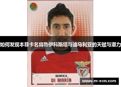 如何发现本菲卡名将鲁伊科斯塔与迪马利亚的天赋与潜力