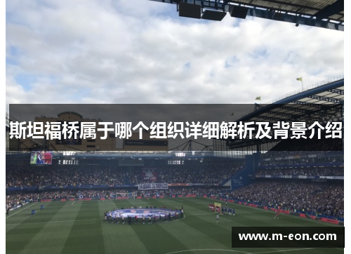 斯坦福桥属于哪个组织详细解析及背景介绍